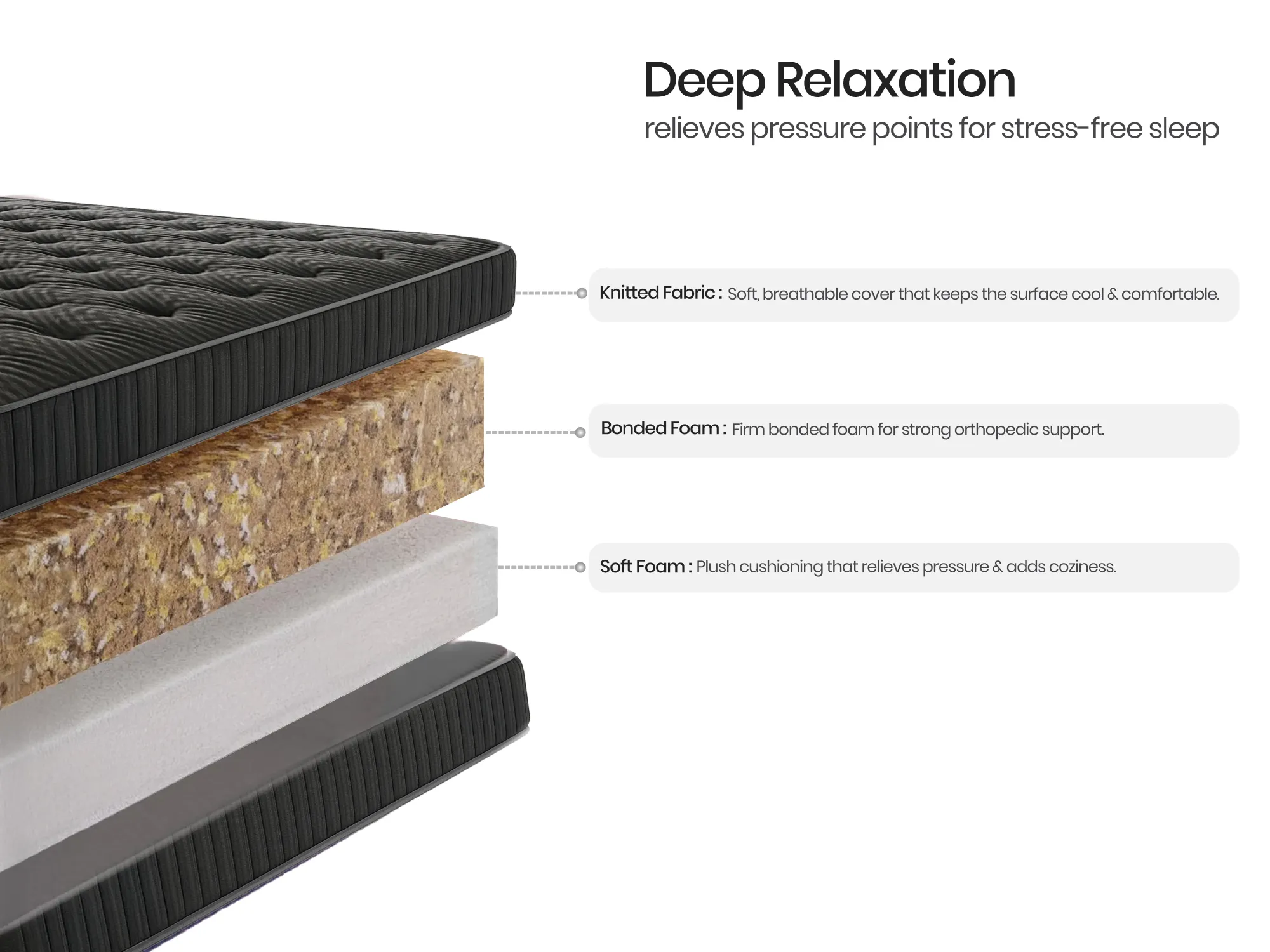 Alexa Studio Essentials Package